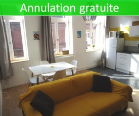 Appartement Lille/1ch/stationnement gratuit